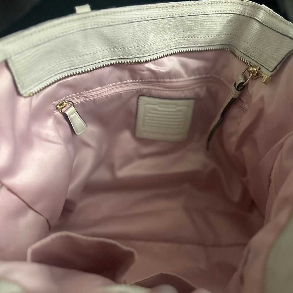 Coach Alexandra Python Straw Tote - image 6